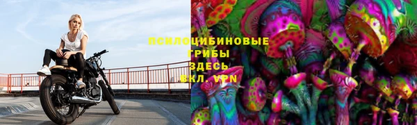 МДМА Медвежьегорск