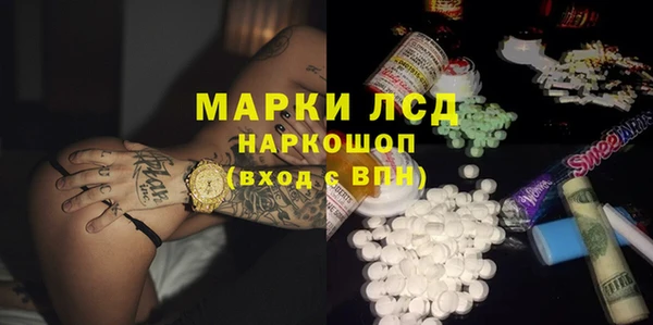 прущие грибы Медногорск