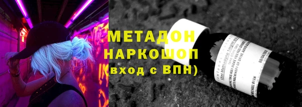 прущие грибы Медногорск