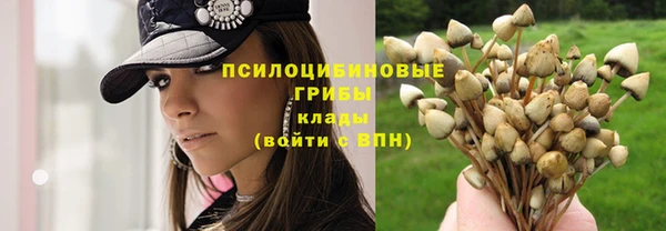 МДМА Медвежьегорск