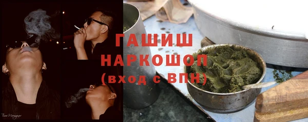 прущие грибы Медногорск