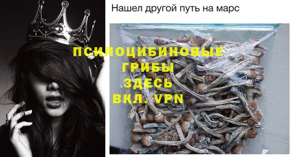 СК Мегион