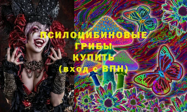 прущие грибы Медногорск