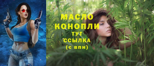 прущие грибы Медногорск
