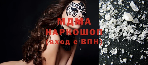прущие грибы Медногорск