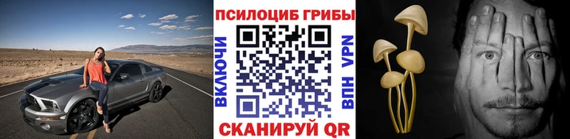 где продают наркотики  Дно  Галлюциногенные грибы Psilocybe 